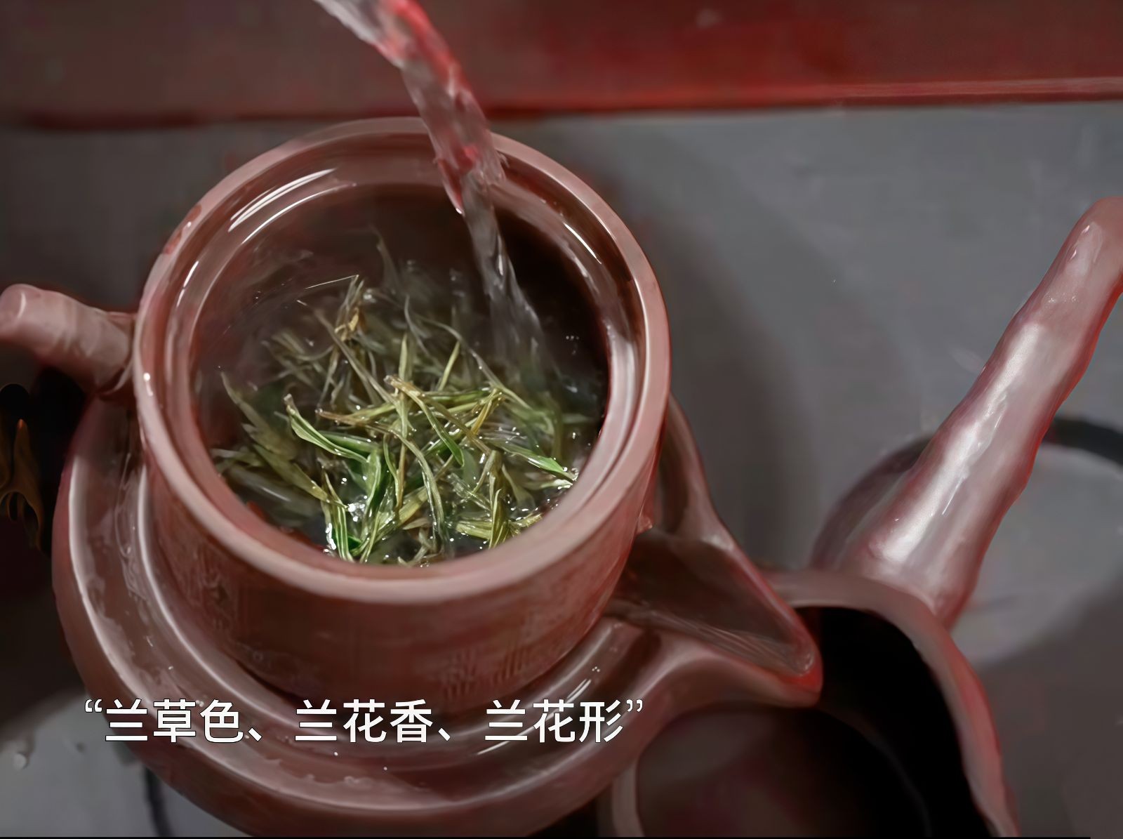 COTV全球直播-舒城县汤池镇龙眠村南风岗茶厂专业加工生产源自1300多米青山绿水的大别山余脉舒城高山茶林，专业生产“惠芷幽兰”牌小兰花茶叶、“惠芷兰”牌茶籽油等生态绿色产品，陈爱飞欢迎大家光临！
