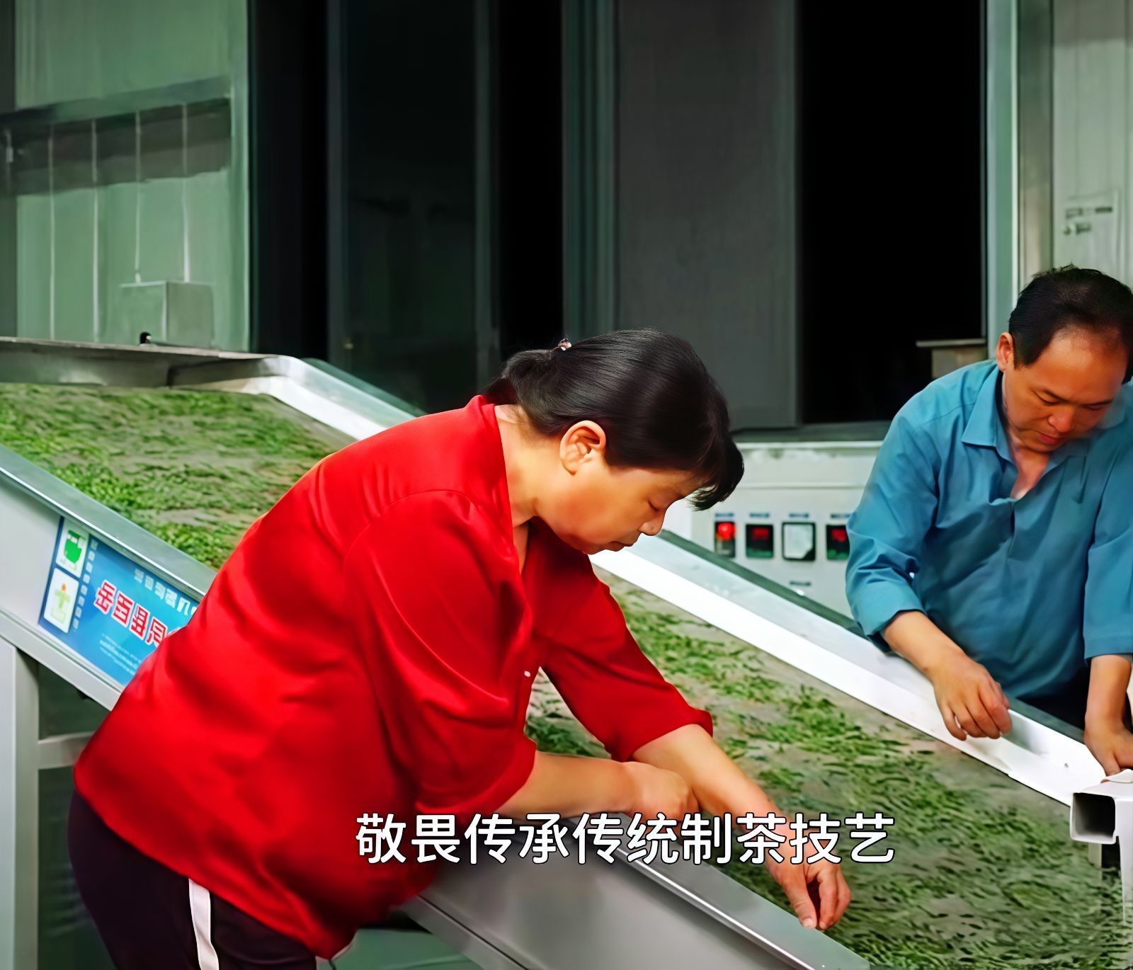 COTV全球直播-舒城县汤池镇龙眠村南风岗茶厂专业加工生产源自1300多米青山绿水的大别山余脉舒城高山茶林，专业生产“惠芷幽兰”牌小兰花茶叶、“惠芷兰”牌茶籽油等生态绿色产品，陈爱飞欢迎大家光临！