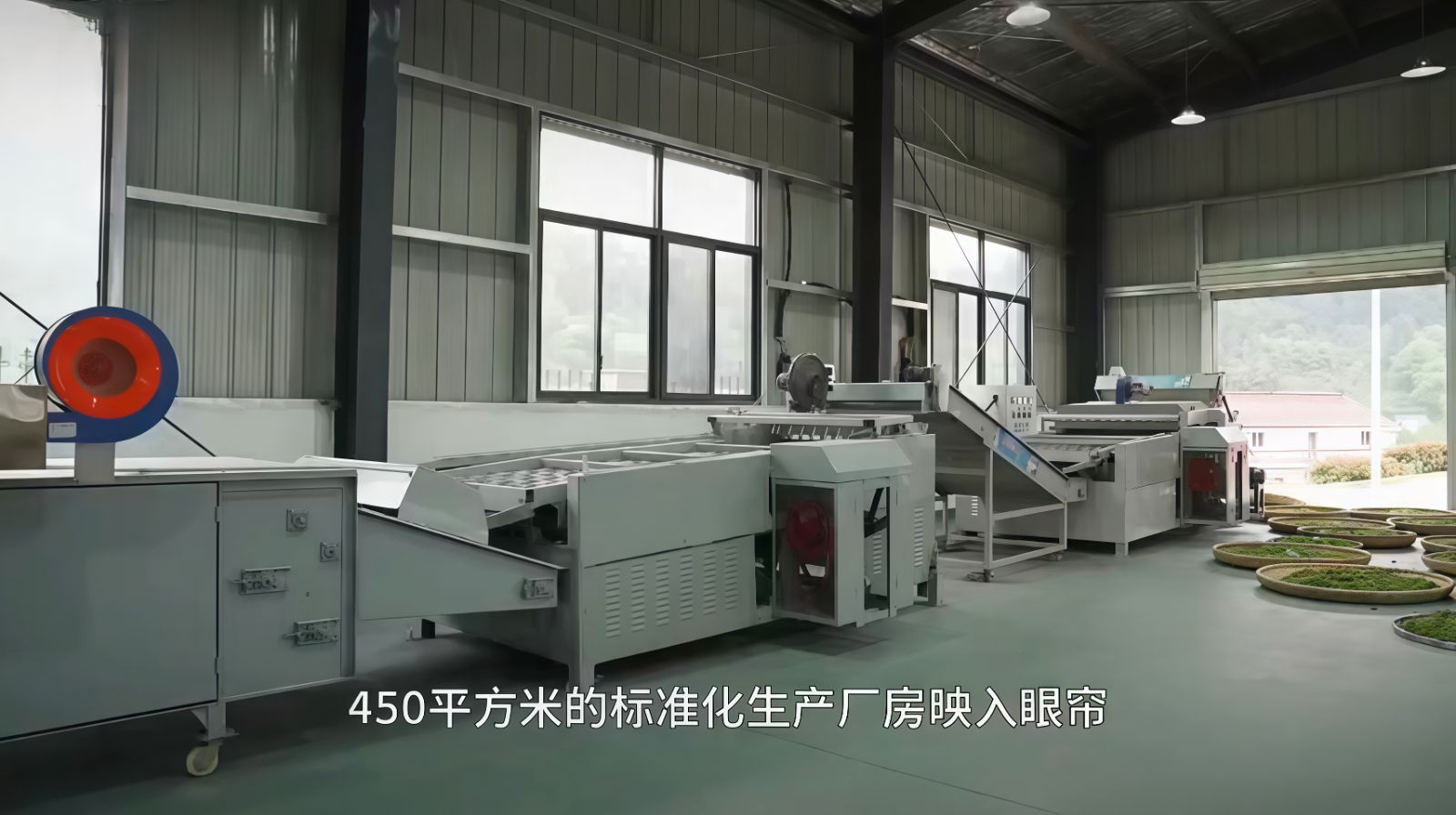 COTV全球直播-舒城县汤池镇龙眠村南风岗茶厂专业加工生产源自1300多米青山绿水的大别山余脉舒城高山茶林，专业生产“惠芷幽兰”牌小兰花茶叶、“惠芷兰”牌茶籽油等生态绿色产品，陈爱飞欢迎大家光临！