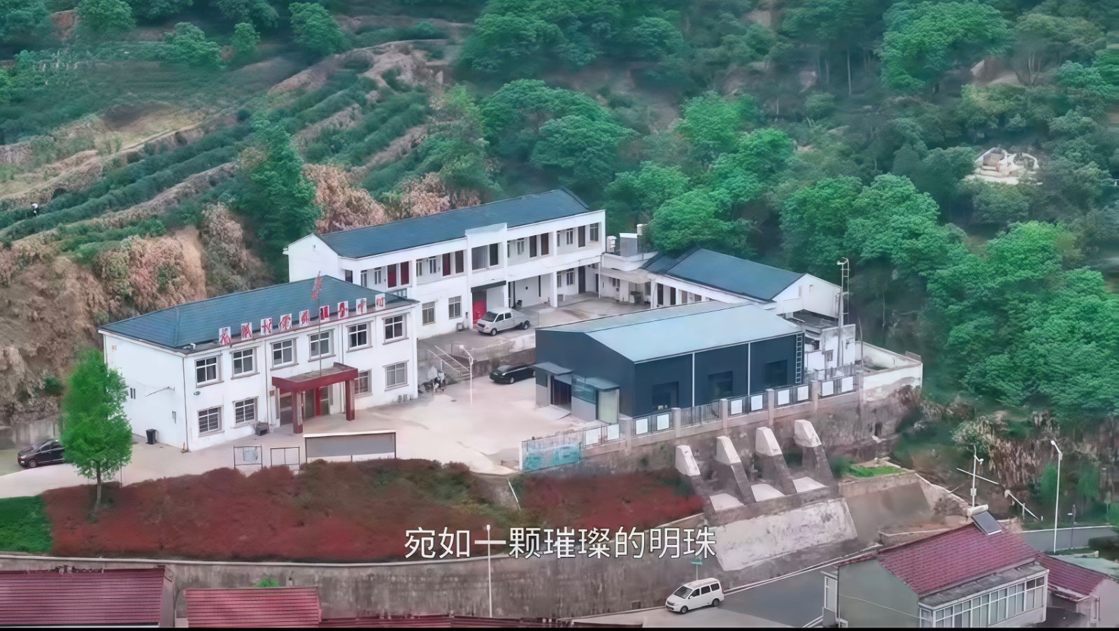 COTV全球直播-舒城县汤池镇龙眠村南风岗茶厂专业加工生产源自1300多米青山绿水的大别山余脉舒城高山茶林，专业生产“惠芷幽兰”牌小兰花茶叶、“惠芷兰”牌茶籽油等生态绿色产品，陈爱飞欢迎大家光临！