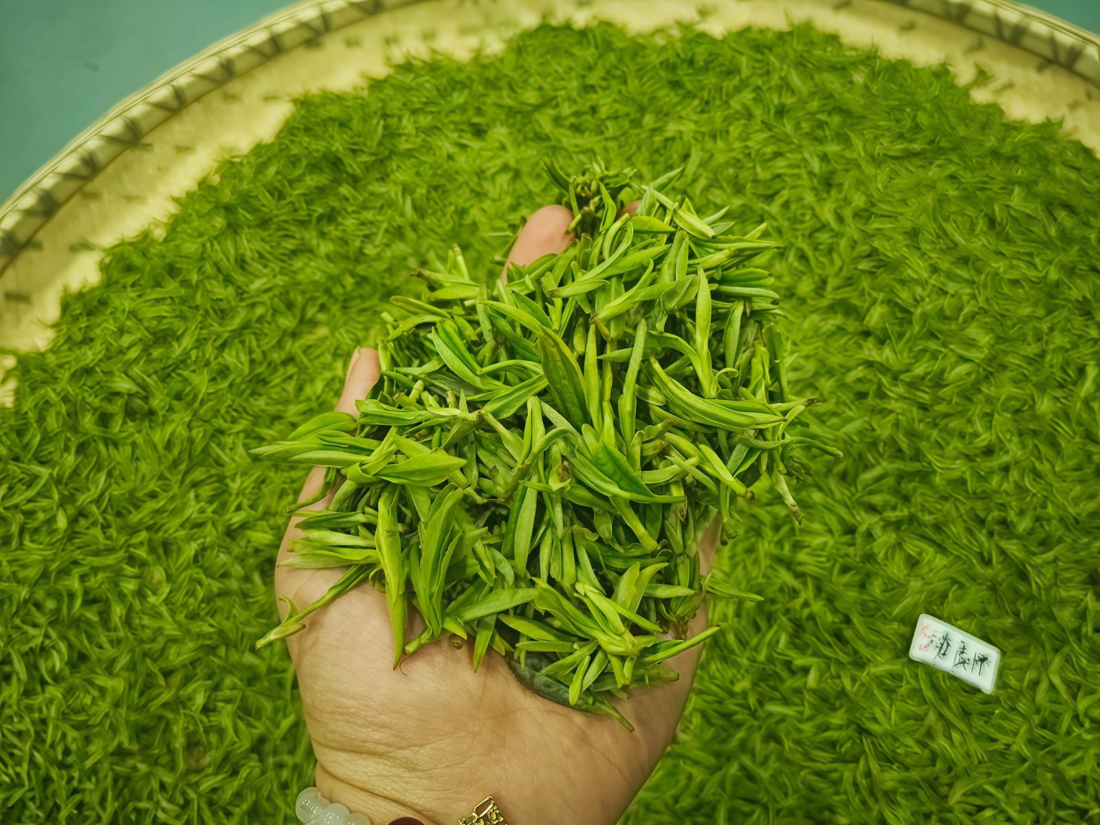 COTV全球直播-舒城县汤池镇龙眠村南风岗茶厂专业加工生产源自1300多米青山绿水的大别山余脉舒城高山茶林，专业生产“惠芷幽兰”牌小兰花茶叶、“惠芷兰”牌茶籽油等生态绿色产品，陈爱飞欢迎大家光临！