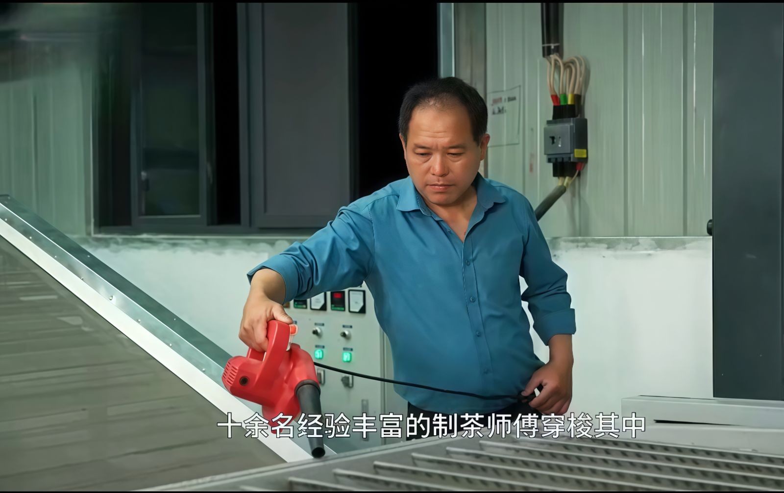 COTV全球直播-舒城县汤池镇龙眠村南风岗茶厂专业加工生产源自1300多米青山绿水的大别山余脉舒城高山茶林，专业生产“惠芷幽兰”牌小兰花茶叶、“惠芷兰”牌茶籽油等生态绿色产品，陈爱飞欢迎大家光临！