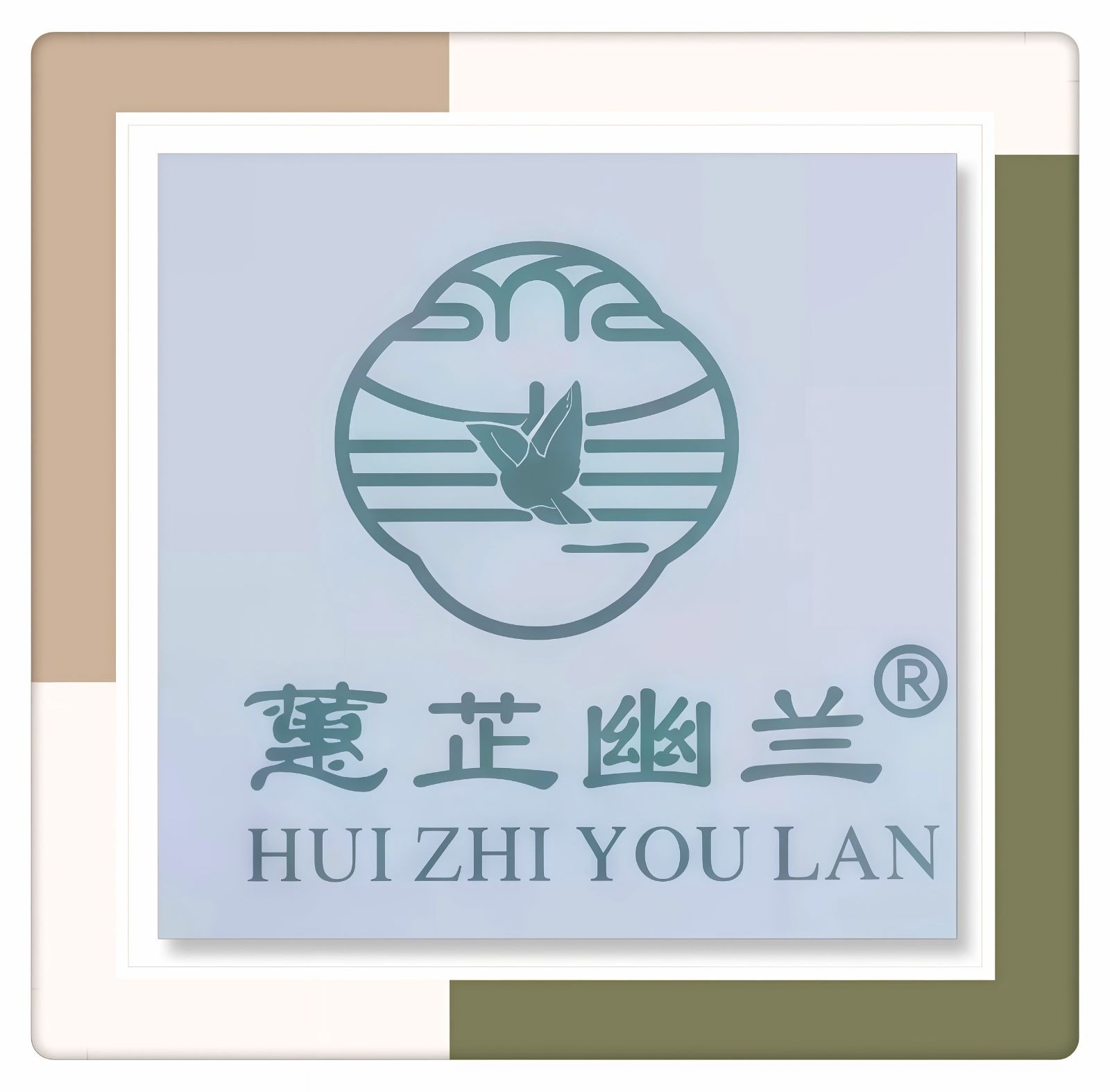 COTV全球直播-舒城县汤池镇龙眠村南风岗茶厂专业加工生产源自1300多米青山绿水的大别山余脉舒城高山茶林，专业生产“惠芷幽兰”牌小兰花茶叶、“惠芷兰”牌茶籽油等生态绿色产品，陈爱飞欢迎大家光临！