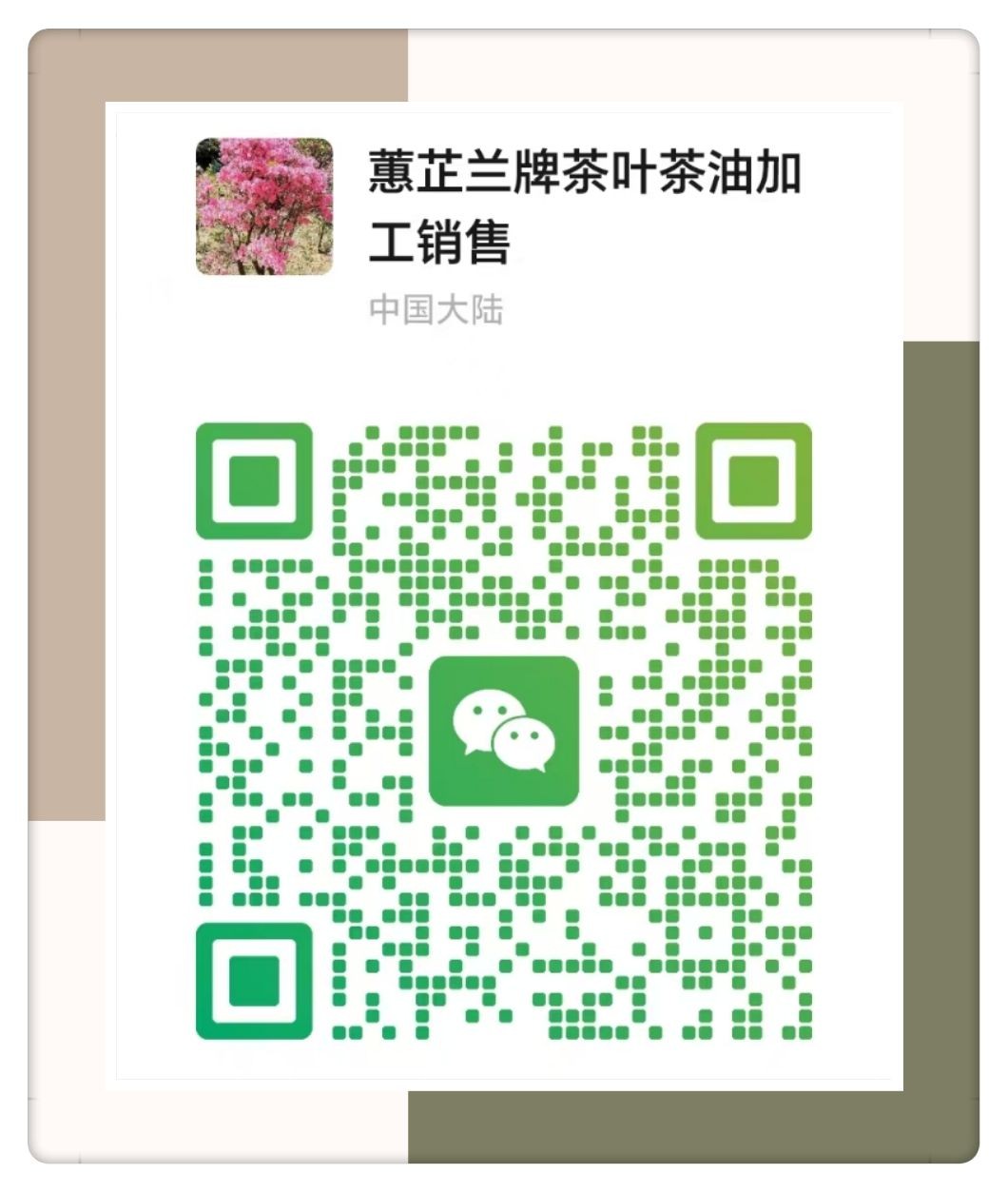 COTV全球直播-舒城县汤池镇龙眠村南风岗茶厂专业加工生产源自1300多米青山绿水的大别山余脉舒城高山茶林，专业生产“惠芷幽兰”牌小兰花茶叶、“惠芷兰”牌茶籽油等生态绿色产品，陈爱飞欢迎大家光临！