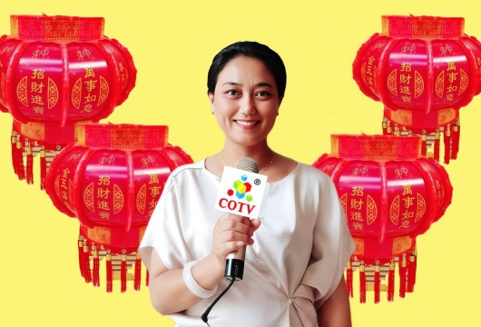 COTV全球直播-江苏福旺电子科技有限公司专业研发设计、生产销售：各种电子宫灯、走马灯、仿古灯、电子鞭炮、儿童款电子鞭炮等各种喜庆用品，欢迎大家光临！