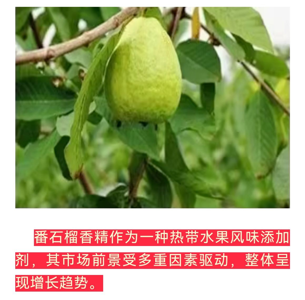 COTV全球直播-泉州威士登香精香料有限公司专业生产食用香精，应用于饮料、糕点、糖果、炒货、调味品、保健品、冰淇淋等行业；日化香精应用于香水、化妆品、香波等日化行业，欢迎大家光临！