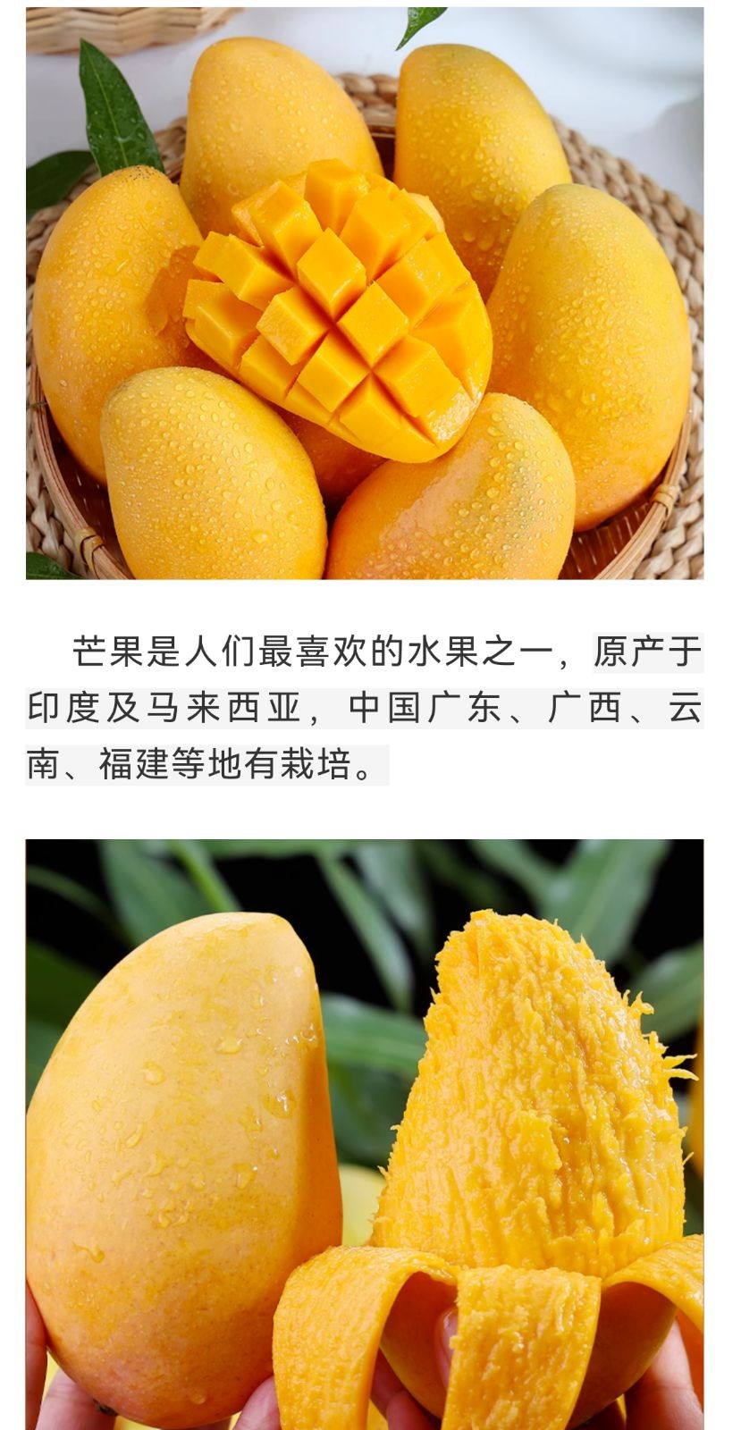 COTV全球直播-泉州威士登香精香料有限公司专业生产食用香精，应用于饮料、糕点、糖果、炒货、调味品、保健品、冰淇淋等行业；日化香精应用于香水、化妆品、香波等日化行业，欢迎大家光临！