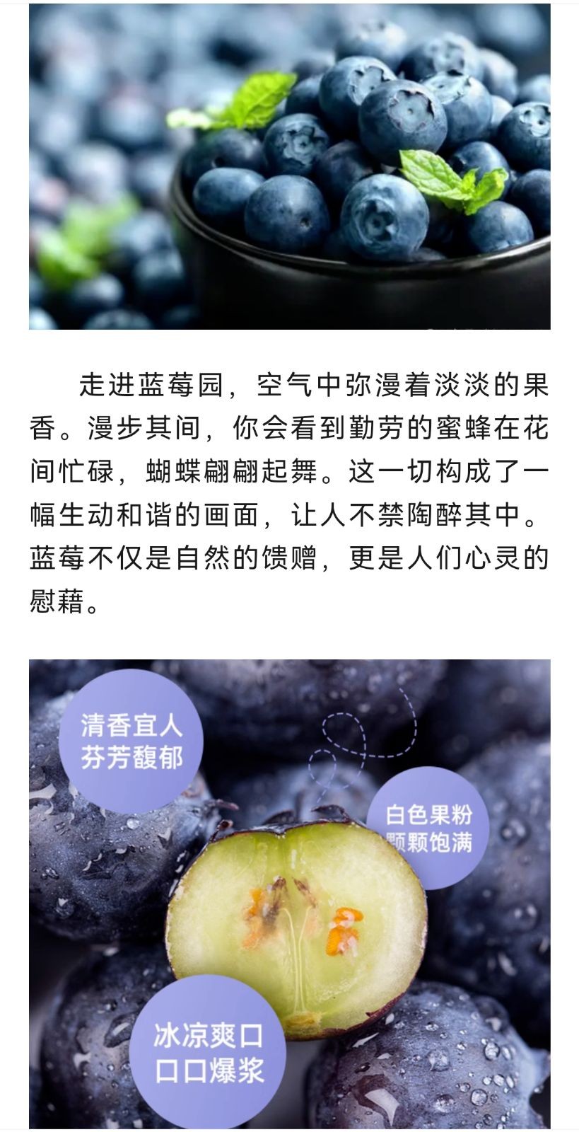 COTV全球直播-泉州威士登香精香料有限公司专业生产食用香精，应用于饮料、糕点、糖果、炒货、调味品、保健品、冰淇淋等行业；日化香精应用于香水、化妆品、香波等日化行业，欢迎大家光临！
