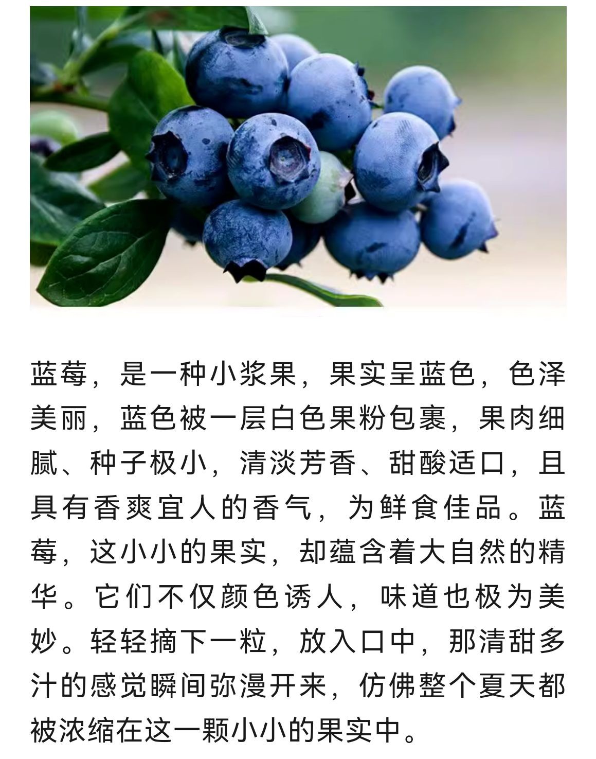 COTV全球直播-泉州威士登香精香料有限公司专业生产食用香精，应用于饮料、糕点、糖果、炒货、调味品、保健品、冰淇淋等行业；日化香精应用于香水、化妆品、香波等日化行业，欢迎大家光临！