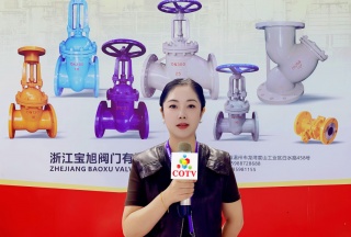 大号电视-浙江宝旭阀门有限公司专业生产：“宝旭”品牌系列. 闸阀，截止阀，旋启式止回阀，升降式止回阀，立式止回阀，球阀，Y型过滤器等流体设备产品，欢迎大家光临！