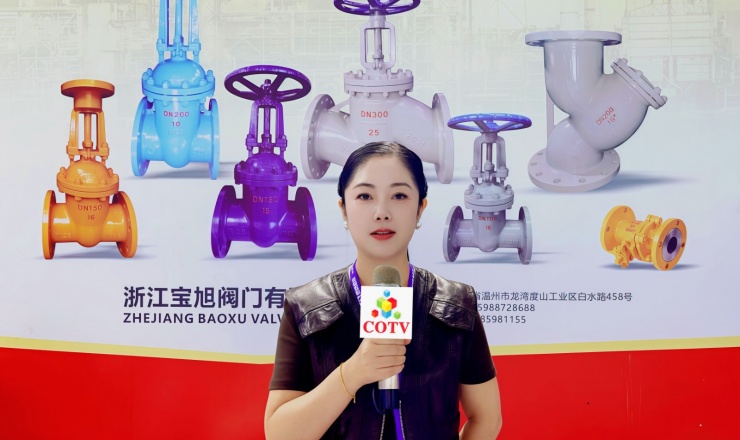 大号电视-浙江宝旭阀门有限公司专业生产：“宝旭”品牌系列. 闸阀，截止阀，旋启式止回阀，升降式止回阀，立式止回阀，球阀，Y型过滤器等流体设备产品，欢迎大家光临！