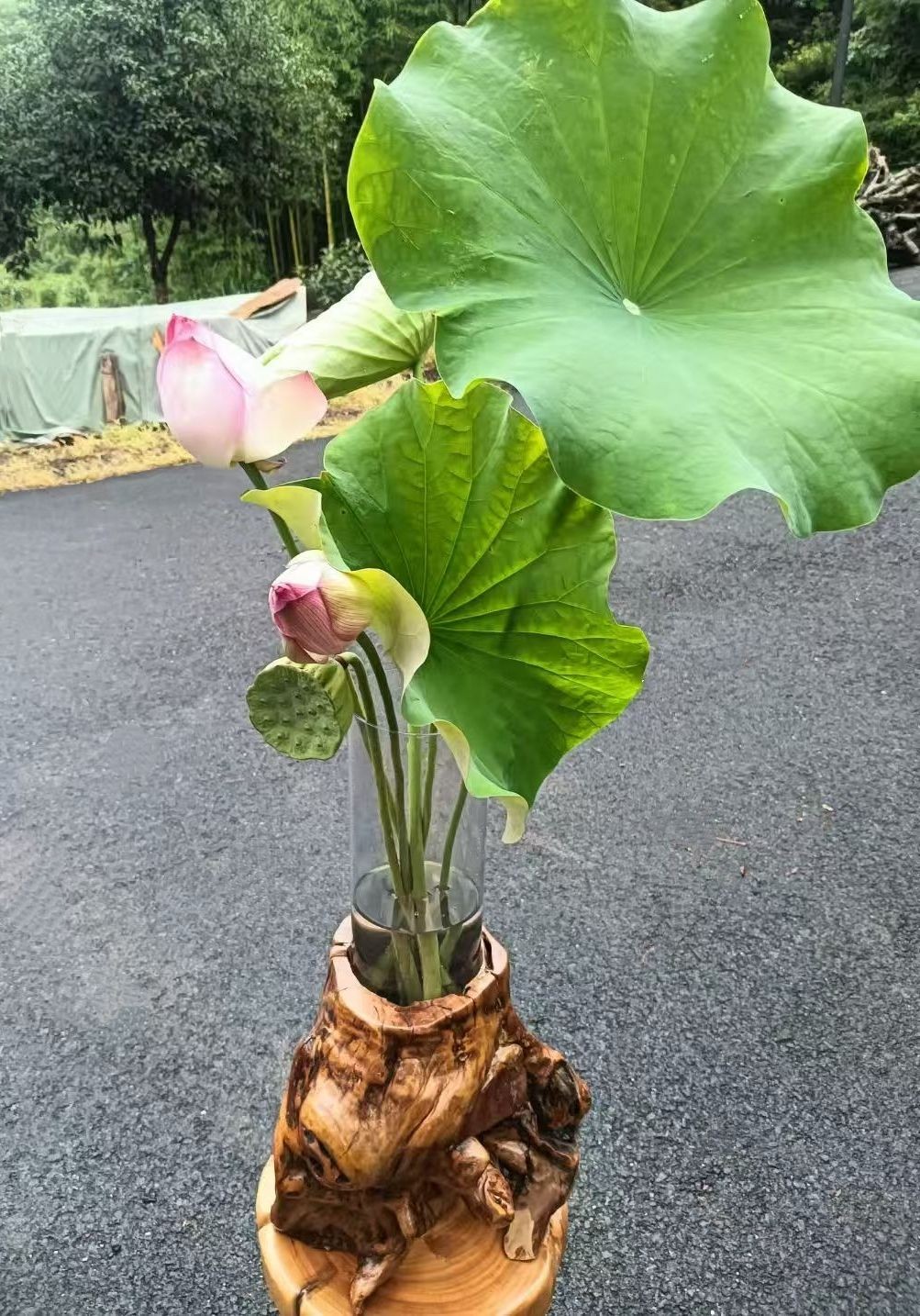 COTV全球直播-杭州富阳淼鑫工艺品厂专业设计生产:茶桌、补置茶空间、办公室、民宿空间装饰、实木创意家具以及系列家居产品,工艺独特、匠心独具,欢迎大家光临! COTV全球直播-杭州富阳淼鑫工艺品厂专业设计生产:茶桌、补置茶空间、办公室、民宿空间装饰、实木创意家具以及系列家居产品,工艺独特、匠心独具,欢迎大家光临!