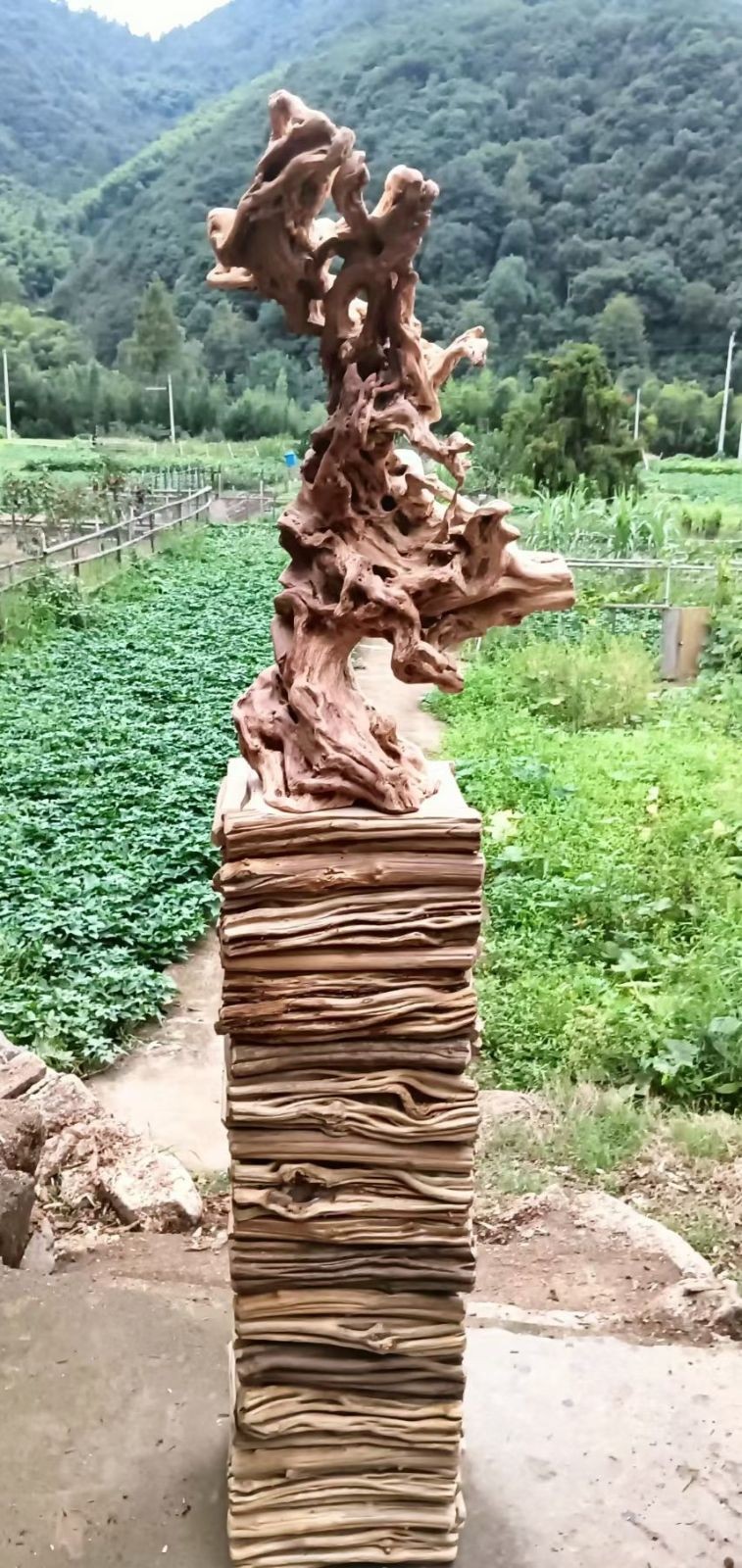 COTV全球直播-杭州富阳淼鑫工艺品厂专业设计生产:茶桌、补置茶空间、办公室、民宿空间装饰、实木创意家具以及系列家居产品,工艺独特、匠心独具,欢迎大家光临! COTV全球直播-杭州富阳淼鑫工艺品厂专业设计生产:茶桌、补置茶空间、办公室、民宿空间装饰、实木创意家具以及系列家居产品,工艺独特、匠心独具,欢迎大家光临!