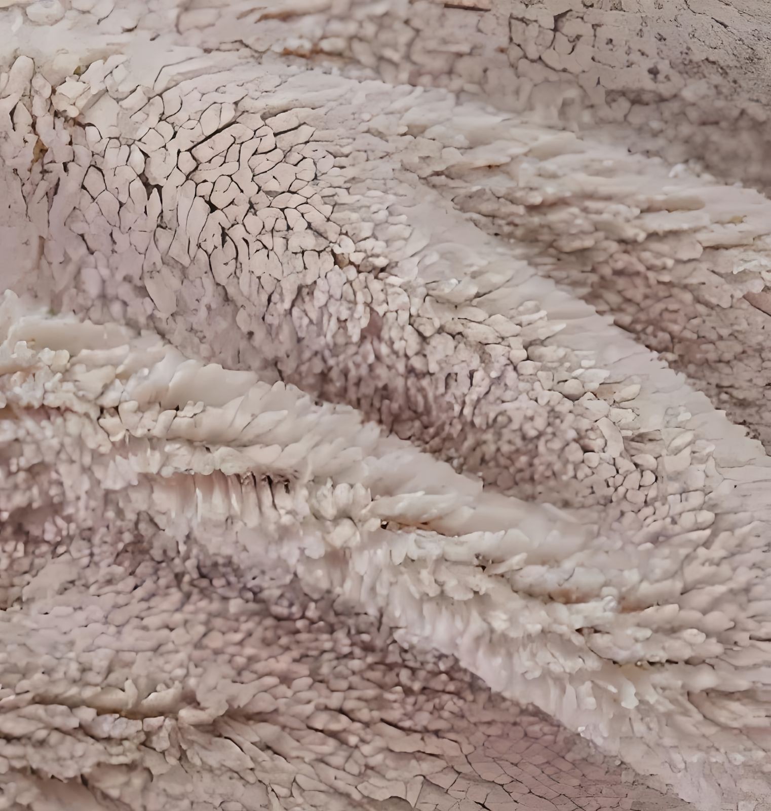 COTV全球直播-常熟市奥胜针纺有限公司专业生产:功能性珊瑚绒、法兰绒、牛奶绒、PV绒、仿兔毛、超柔绒、摇粒绒、颗粒绒、泰迪绒、舒棉绒等时尚女装毛绒面料产品,欢迎大家光临! COTV全球直播-常熟市奥胜针纺有限公司专业生产:功能性珊瑚绒、法兰绒、牛奶绒、PV绒、仿兔毛、超柔绒、摇粒绒、颗粒绒、泰迪绒、舒棉绒等时尚女装毛绒面料产品,欢迎大家光临!