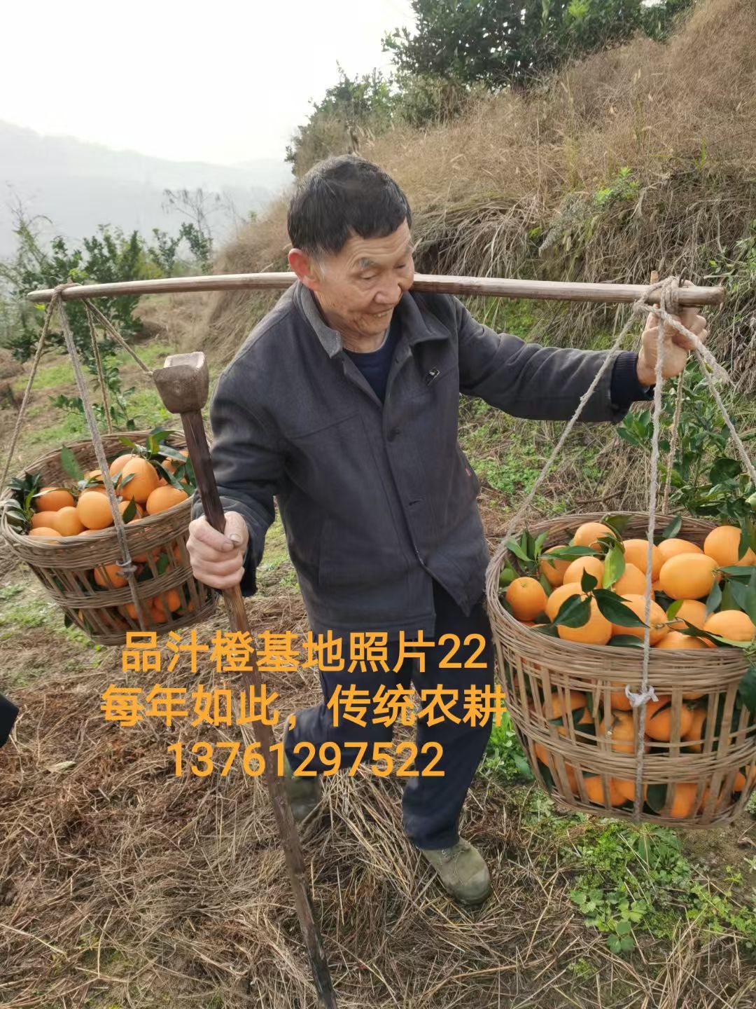 COTV全球直播-上海唐情文化传媒有限公司专业从事文化艺术交流活动的策划、公关、礼仪、模特及演出的经纪和文化艺术策划;销售“品汁鲜果”品牌橙子,源自高山,阳光充足;橙甜度高,品质细嫩,欢迎大家光临! COTV全球直播-上海唐情文化传媒有限公司专业从事文化艺术交流活动的策划、公关、礼仪、模特及演出的经纪和文化艺术策划;销售“品汁鲜果”品牌橙子,源自高山,阳光充足;橙甜度高,品质细嫩,欢迎大家光临!