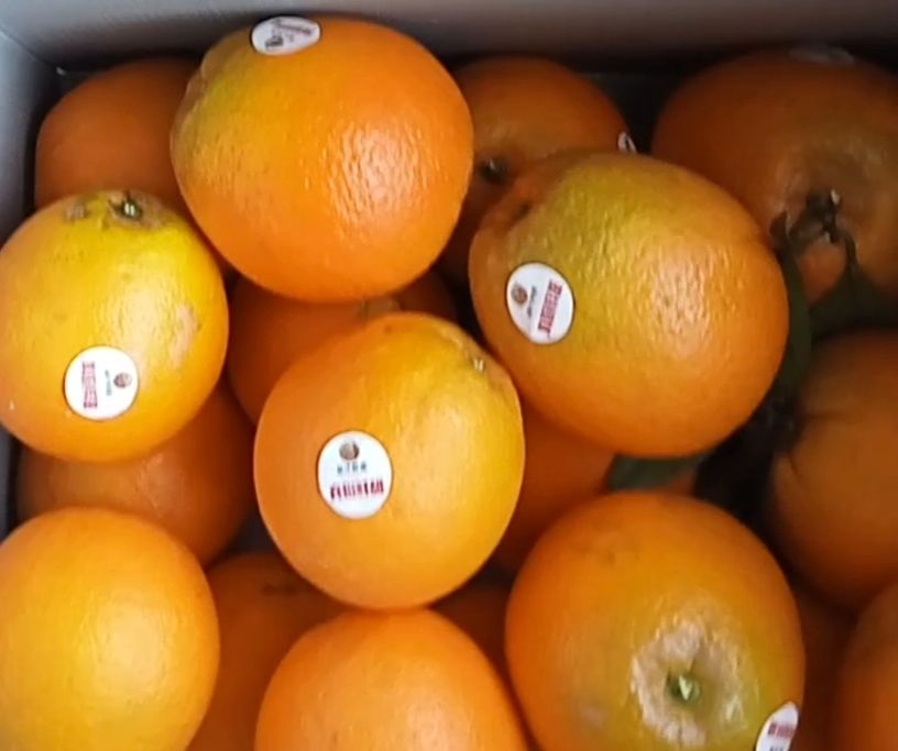 COTV全球直播-上海唐情文化传媒有限公司专业从事文化艺术交流活动的策划、公关、礼仪、模特及演出的经纪和文化艺术策划;销售“品汁鲜果”品牌橙子,源自高山,阳光充足;橙甜度高,品质细嫩,欢迎大家光临! COTV全球直播-上海唐情文化传媒有限公司专业从事文化艺术交流活动的策划、公关、礼仪、模特及演出的经纪和文化艺术策划;销售“品汁鲜果”品牌橙子,源自高山,阳光充足;橙甜度高,品质细嫩,欢迎大家光临!