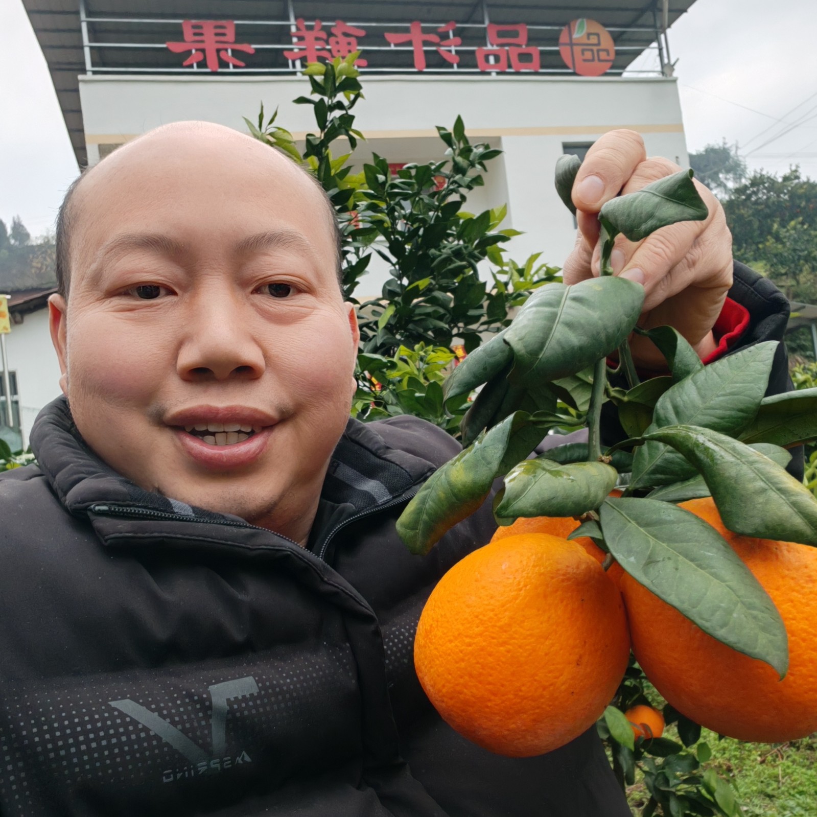 COTV全球直播-上海唐情文化传媒有限公司专业从事文化艺术交流活动的策划、公关、礼仪、模特及演出的经纪和文化艺术策划;销售“品汁鲜果”品牌橙子,源自高山,阳光充足;橙甜度高,品质细嫩,欢迎大家光临! COTV全球直播-上海唐情文化传媒有限公司专业从事文化艺术交流活动的策划、公关、礼仪、模特及演出的经纪和文化艺术策划;销售“品汁鲜果”品牌橙子,源自高山,阳光充足;橙甜度高,品质细嫩,欢迎大家光临!