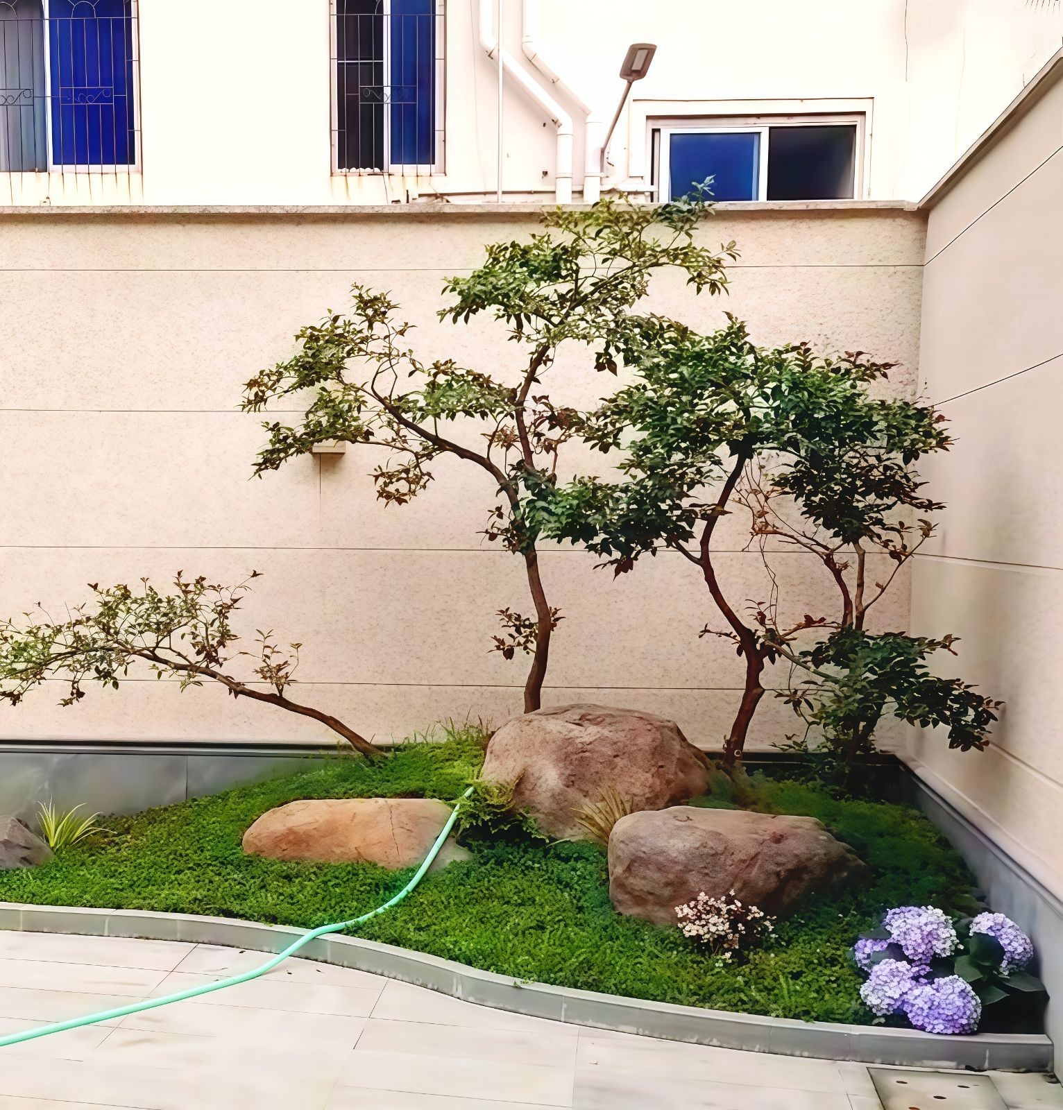 COTV全球直播-嵊州“大道之剪”张卫东专业栽培茶梅树、红枫村、红梅树等园林景观、盆景花卉等产品，及“大道之剪”上门提供各种园林景点花木的修剪和养护等服务，欢迎大家光临！