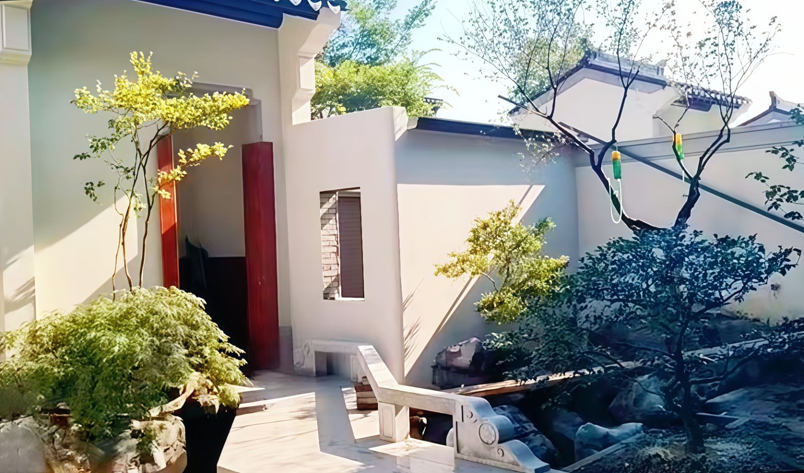 COTV全球直播-嵊州“大道之剪”张卫东专业栽培茶梅树、红枫村、红梅树等园林景观、盆景花卉等产品，及“大道之剪”上门提供各种园林景点花木的修剪和养护等服务，欢迎大家光临！