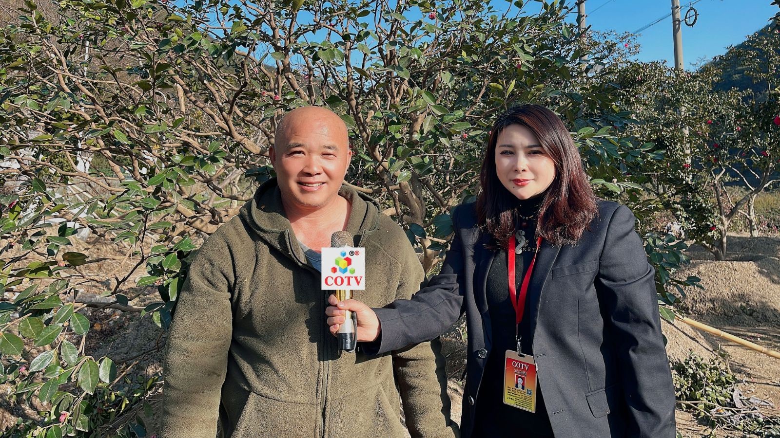 COTV全球直播-嵊州“大道之剪”张卫东专业栽培茶梅树、红枫村、红梅树等园林景观、盆景花卉等产品，及“大道之剪”上门提供各种园林景点花木的修剪和养护等服务，欢迎大家光临！