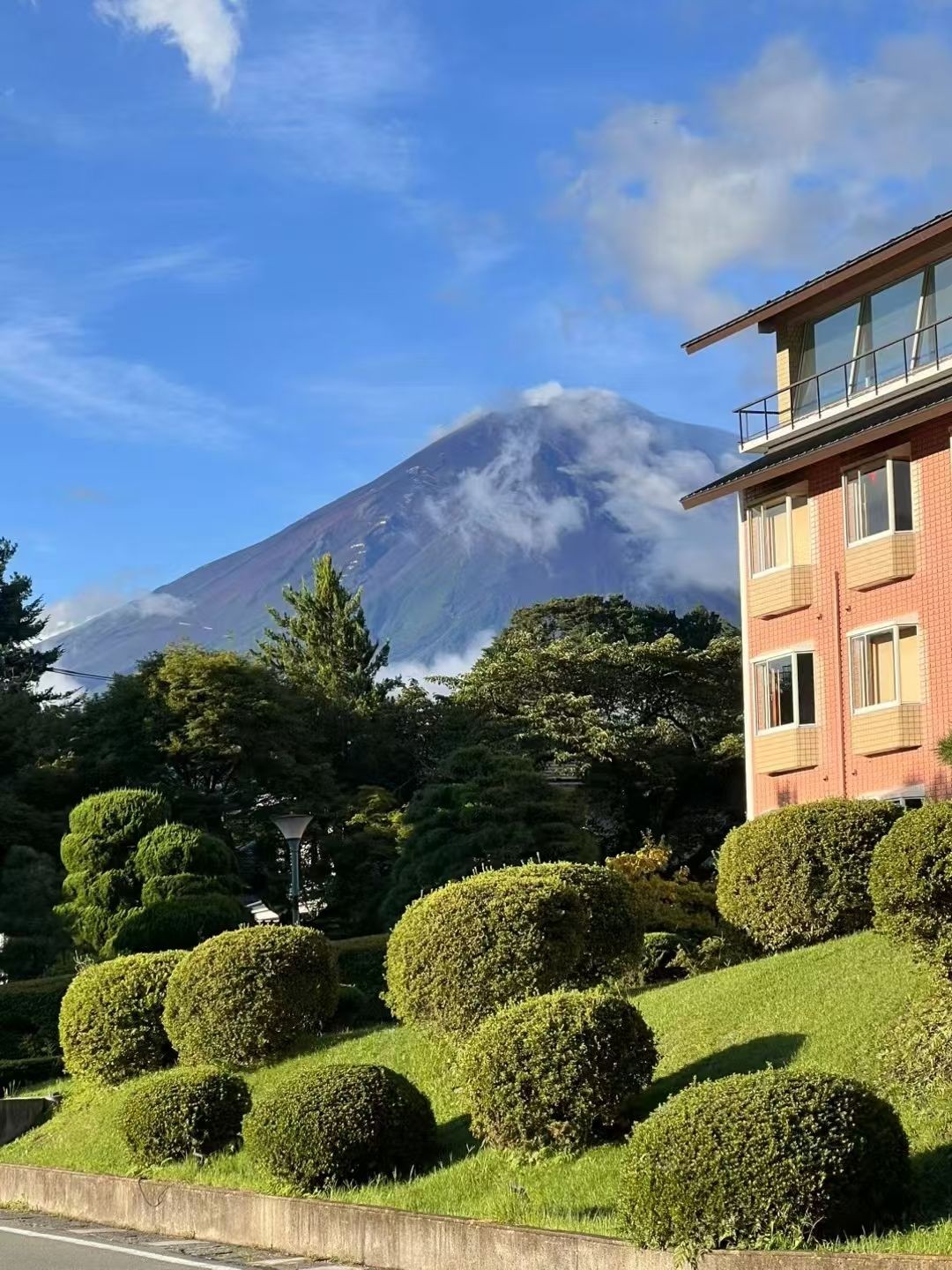 COTV全球直播-嵊州“大道之剪”张卫东专业栽培茶梅树、红枫村、红梅树等园林景观、盆景花卉等产品，及“大道之剪”上门提供各种园林景点花木的修剪和养护等服务，欢迎大家光临！