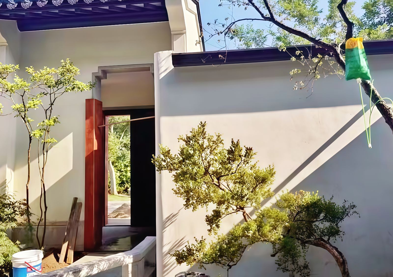 COTV全球直播-嵊州“大道之剪”张卫东专业栽培茶梅树、红枫村、红梅树等园林景观、盆景花卉等产品，及“大道之剪”上门提供各种园林景点花木的修剪和养护等服务，欢迎大家光临！