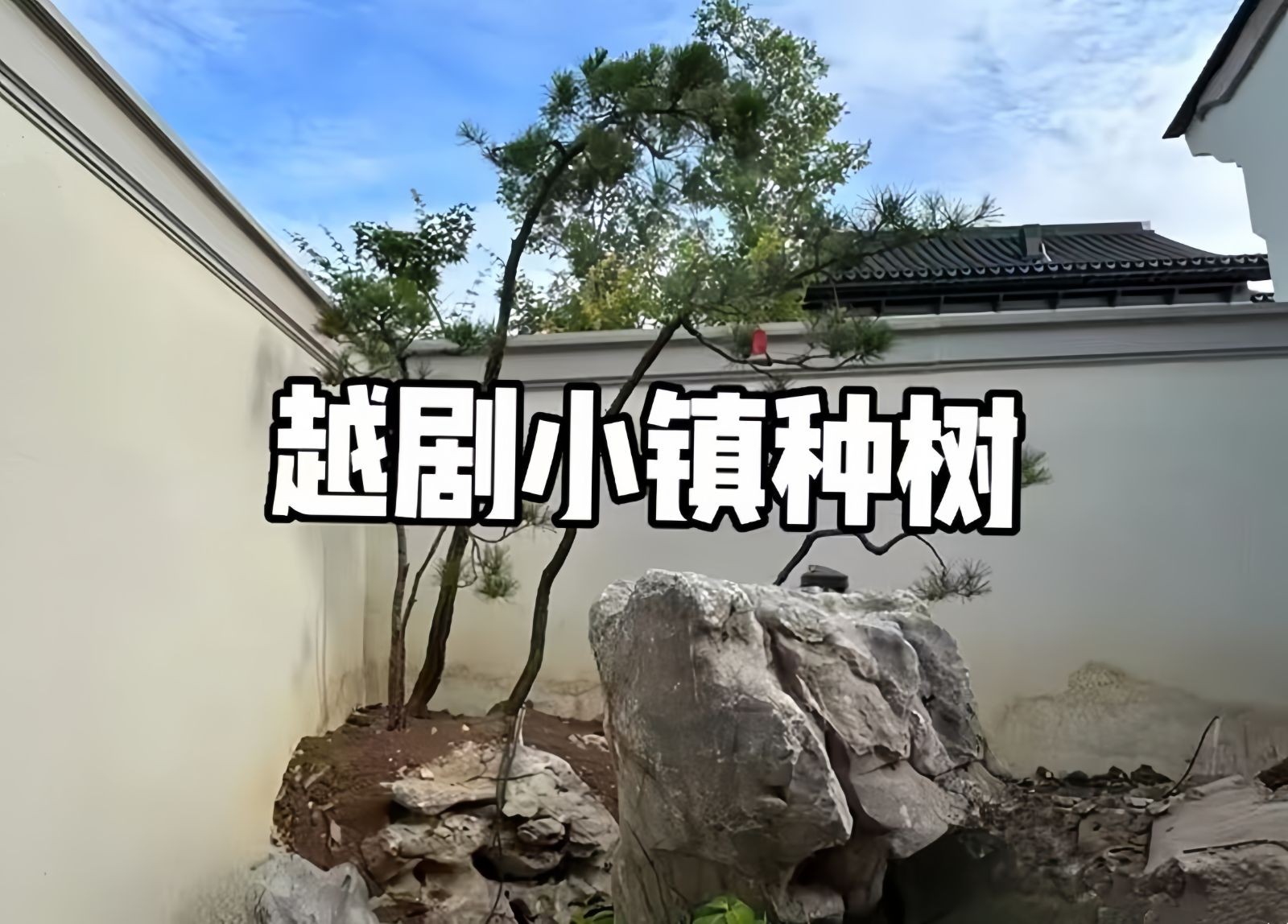 COTV全球直播-嵊州“大道之剪”张卫东专业栽培茶梅树、红枫村、红梅树等园林景观、盆景花卉等产品，及“大道之剪”上门提供各种园林景点花木的修剪和养护等服务，欢迎大家光临！