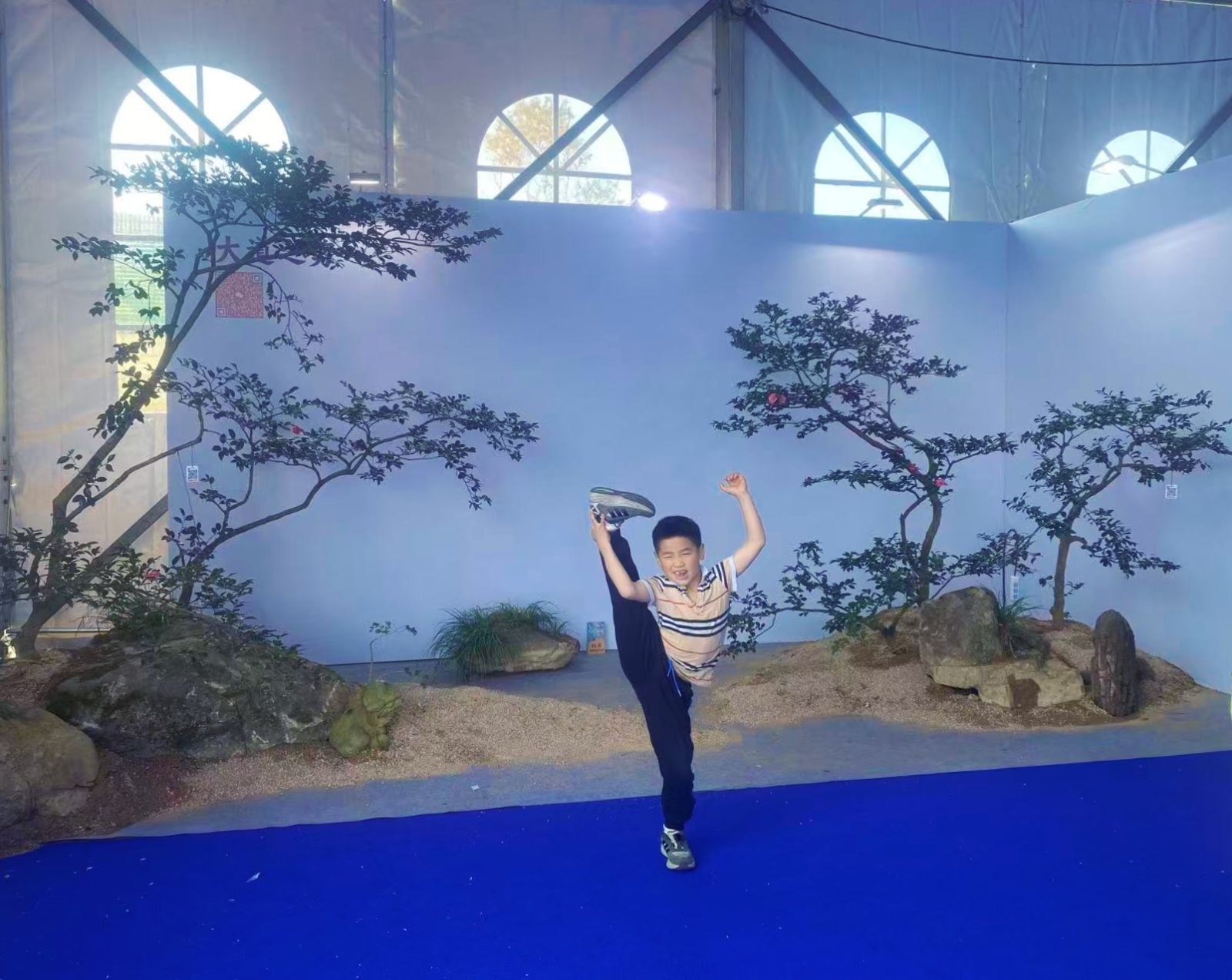 COTV全球直播-嵊州“大道之剪”张卫东专业栽培茶梅树、红枫村、红梅树等园林景观、盆景花卉等产品，及“大道之剪”上门提供各种园林景点花木的修剪和养护等服务，欢迎大家光临！