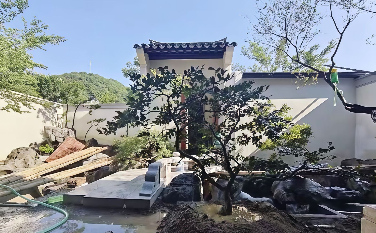 COTV全球直播-嵊州“大道之剪”张卫东专业栽培茶梅树、红枫村、红梅树等园林景观、盆景花卉等产品，及“大道之剪”上门提供各种园林景点花木的修剪和养护等服务，欢迎大家光临！