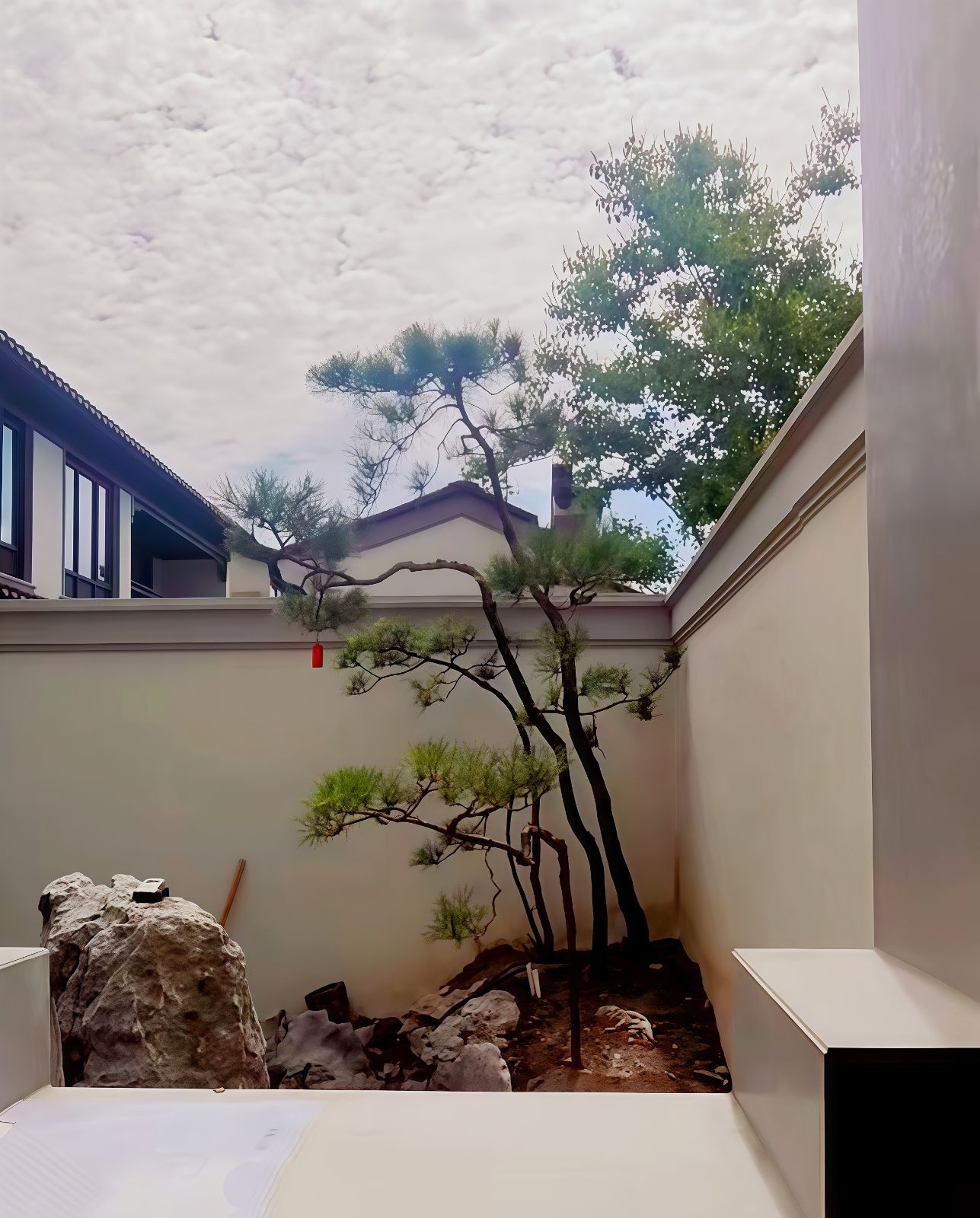 COTV全球直播-嵊州“大道之剪”张卫东专业栽培茶梅树、红枫村、红梅树等园林景观、盆景花卉等产品，及“大道之剪”上门提供各种园林景点花木的修剪和养护等服务，欢迎大家光临！