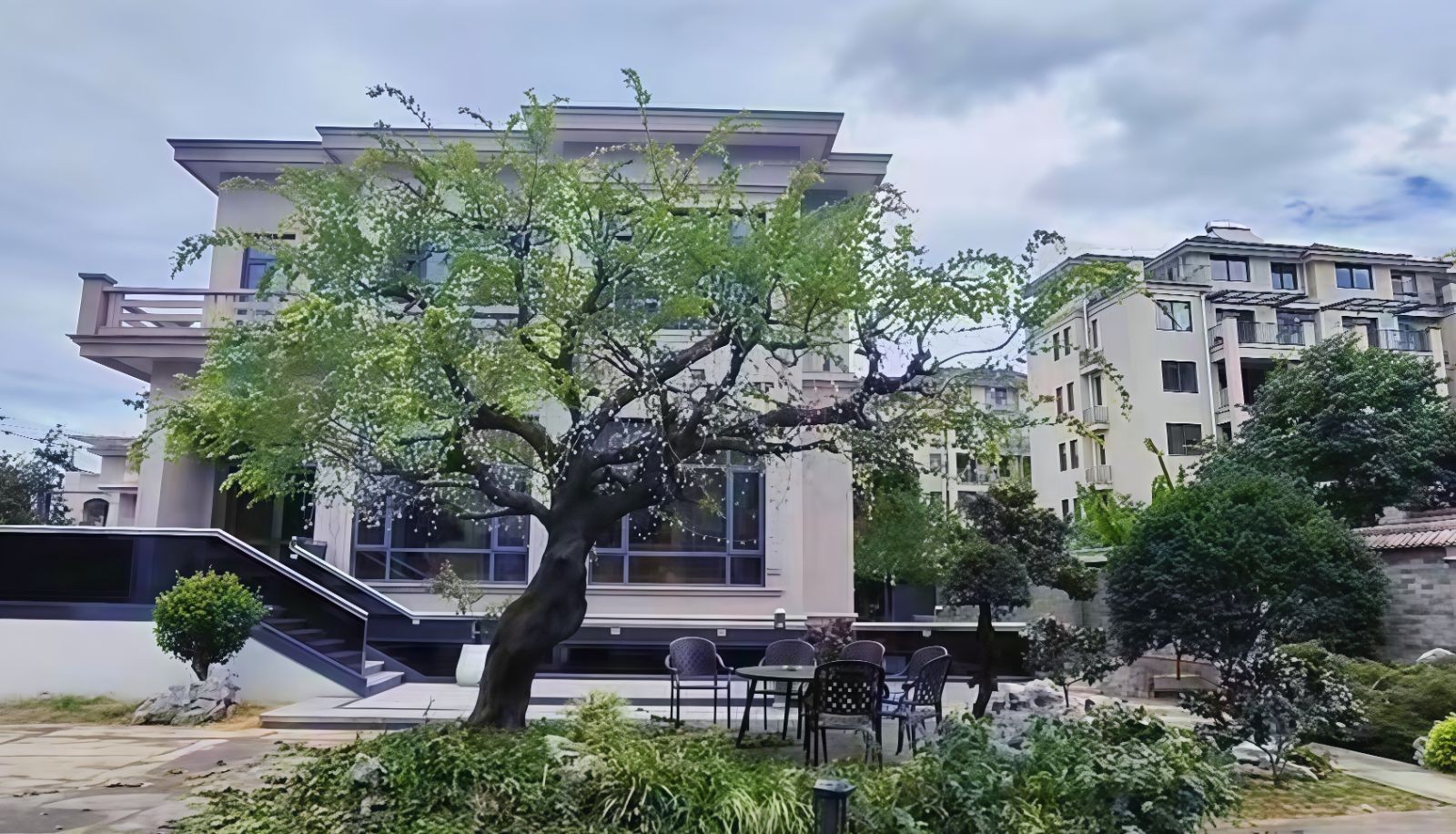 COTV全球直播-嵊州“大道之剪”张卫东专业栽培茶梅树、红枫村、红梅树等园林景观、盆景花卉等产品，及“大道之剪”上门提供各种园林景点花木的修剪和养护等服务，欢迎大家光临！