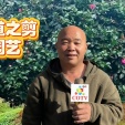 COTV全球直播-嵊州“大道之剪”张卫东专业栽培茶梅树、红枫村、红梅树等园林景观、盆景花卉等产品，及“大道之剪”上门提供各种园林景点花木的修剪和养护等服务，欢迎大家光临！