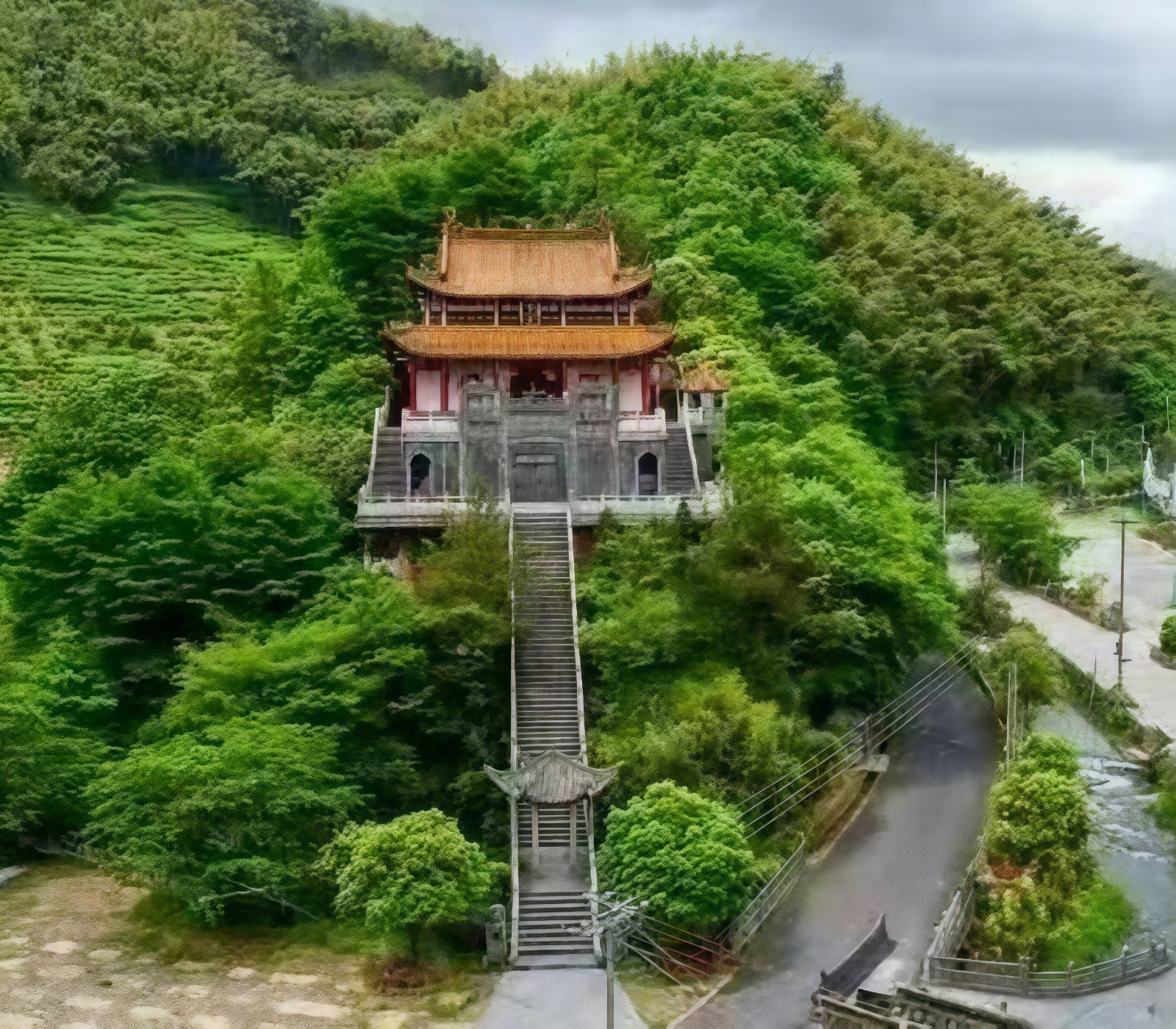 COTV全球直播-嵊州“大道之剪”张卫东专业栽培茶梅树、红枫村、红梅树等园林景观、盆景花卉等产品，及“大道之剪”上门提供各种园林景点花木的修剪和养护等服务，欢迎大家光临！