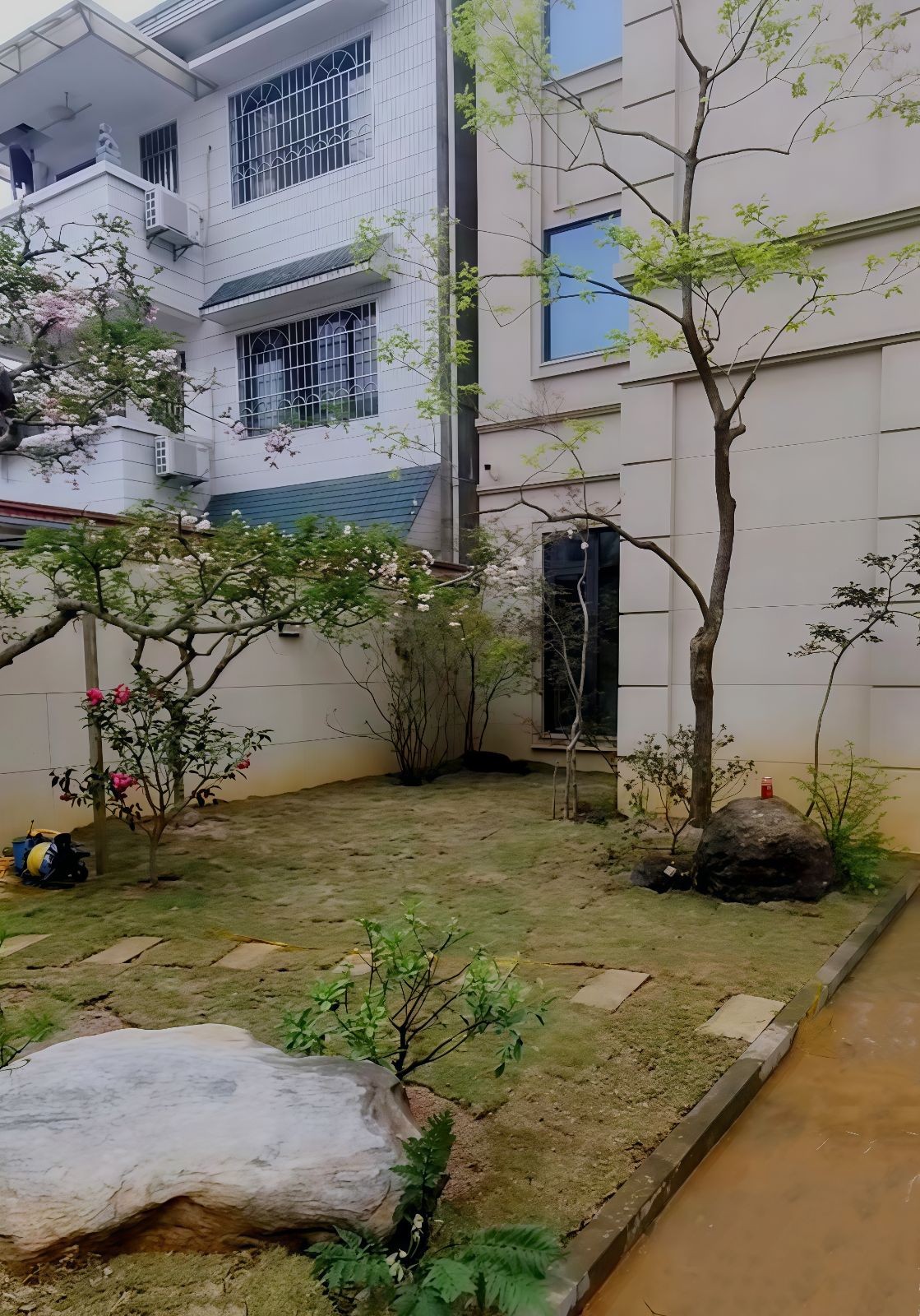 COTV全球直播-嵊州“大道之剪”张卫东专业栽培茶梅树、红枫村、红梅树等园林景观、盆景花卉等产品，及“大道之剪”上门提供各种园林景点花木的修剪和养护等服务，欢迎大家光临！