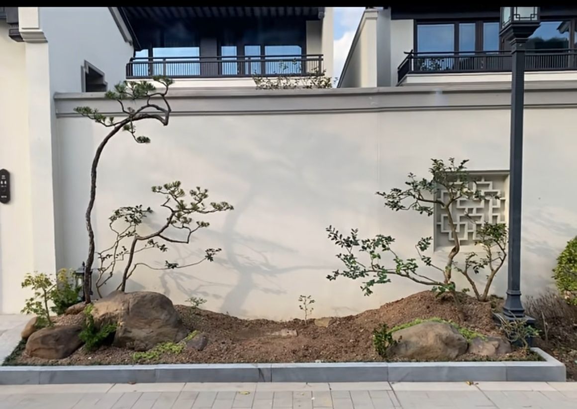 COTV全球直播-嵊州“大道之剪”张卫东专业栽培茶梅树、红枫村、红梅树等园林景观、盆景花卉等产品，及“大道之剪”上门提供各种园林景点花木的修剪和养护等服务，欢迎大家光临！