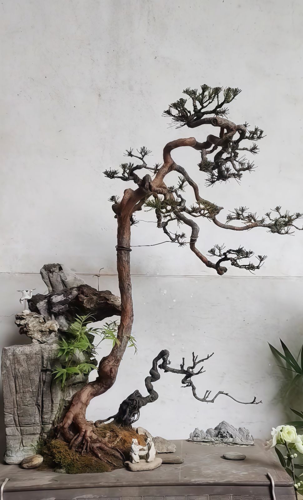 COTV全球直播-嵊州“大道之剪”张卫东专业栽培茶梅树、红枫村、红梅树等园林景观、盆景花卉等产品，及“大道之剪”上门提供各种园林景点花木的修剪和养护等服务，欢迎大家光临！