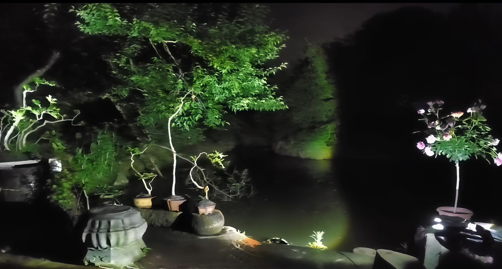 COTV全球直播-嵊州“大道之剪”张卫东专业栽培茶梅树、红枫村、红梅树等园林景观、盆景花卉等产品，及“大道之剪”上门提供各种园林景点花木的修剪和养护等服务，欢迎大家光临！