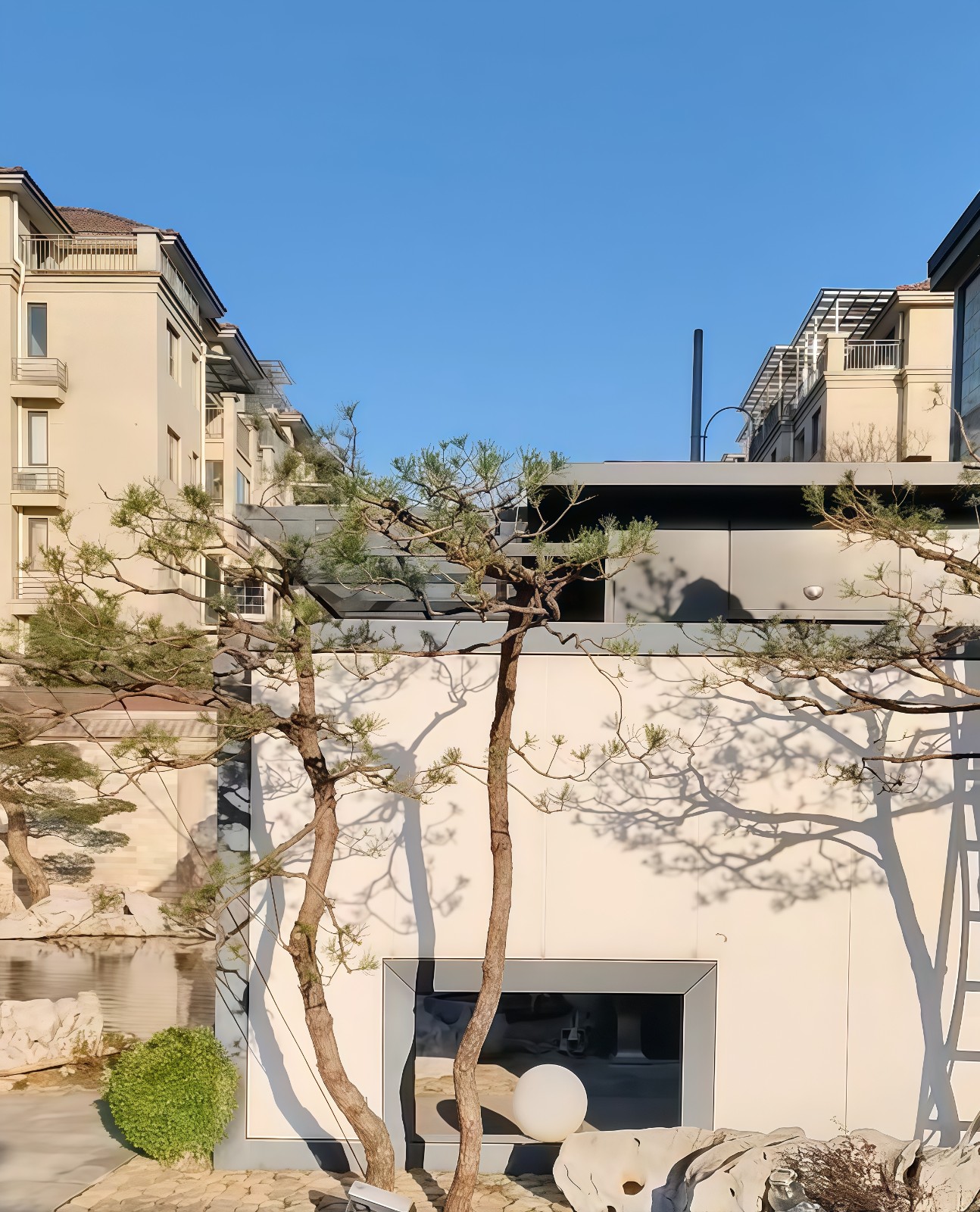 COTV全球直播-嵊州“大道之剪”张卫东专业栽培茶梅树、红枫村、红梅树等园林景观、盆景花卉等产品，及“大道之剪”上门提供各种园林景点花木的修剪和养护等服务，欢迎大家光临！