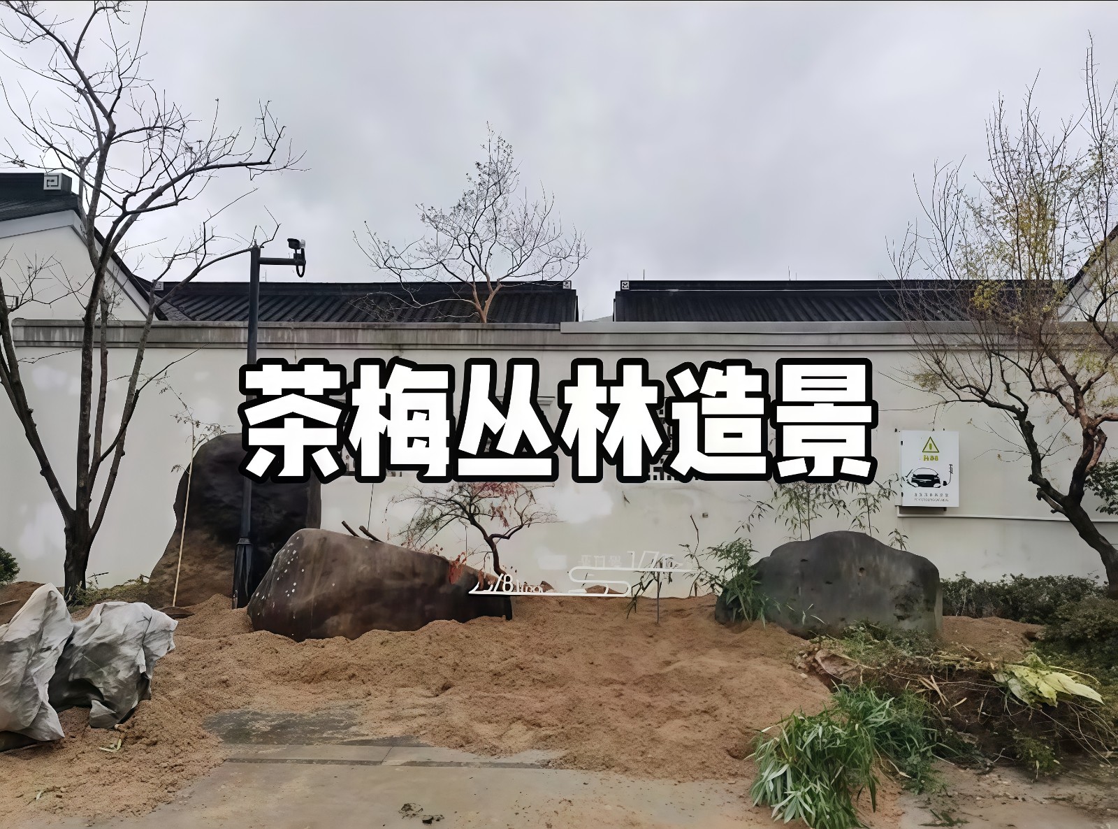 COTV全球直播-嵊州“大道之剪”张卫东专业栽培茶梅树、红枫村、红梅树等园林景观、盆景花卉等产品，及“大道之剪”上门提供各种园林景点花木的修剪和养护等服务，欢迎大家光临！