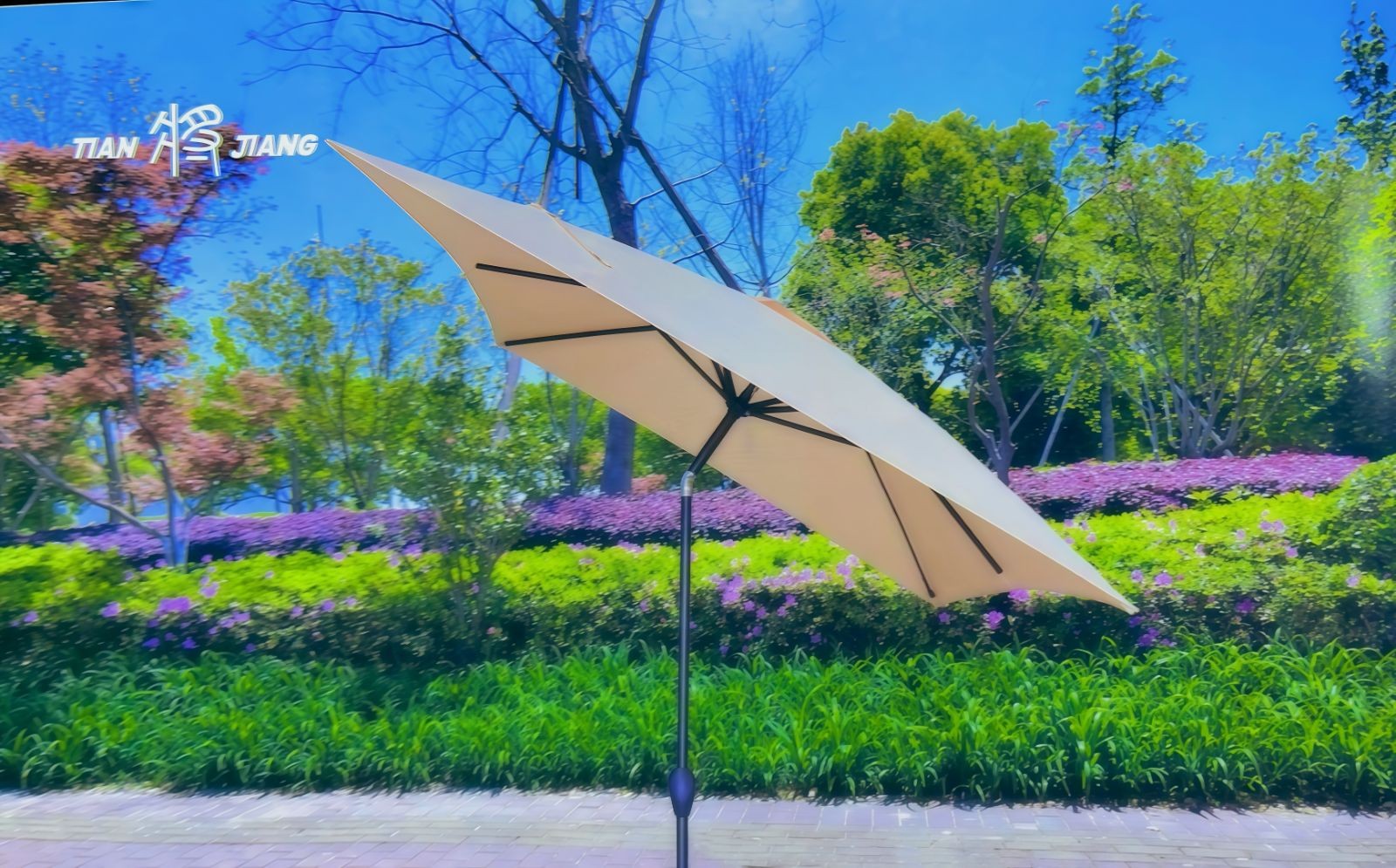 COTV全球直播-台州天将伞业有限公司专业生产：户外遮阳伞、各种户外雨伞、太阳伞，岗位工作伞、户外休闲家具以及各种时新摆件、挂件工艺品，欢迎大家光临！