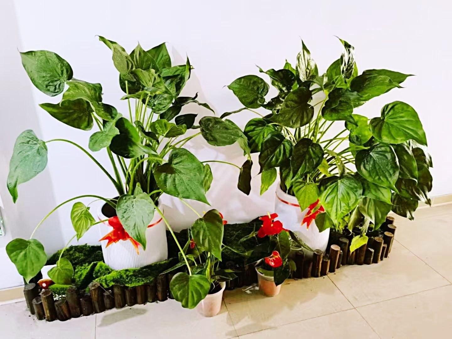 COTV全球直播-温州市文舟商务礼品有限公司专业生产:美容化妆品包、洗漱包、工具包、电器包、酒品包、理发工具,垂钓用具,文教及体育用品,大健康行业,摄影器材,礼品包等产品,欢迎大家光临! COTV全球直播-温州市文舟商务礼品有限公司专业生产:美容化妆品包、洗漱包、工具包、电器包、酒品包、理发工具,垂钓用具,文教及体育用品,大健康行业,摄影器材,礼品包等产品,欢迎大家光临!