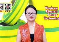 COTV全球直播-温州沃强电力科技有限公司专业生产热缩管，双色管，双壁管，冷缩附件，热缩附件，转换开关，欧式美式插拔头，欧式美式避雷器，按钮等电力产品，董事长周春梅欢迎大家光临！