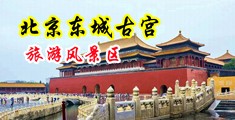 中国北京-东城古宫旅游风景区