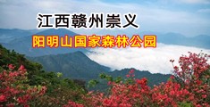 江西崇义阳明山国家森林公园