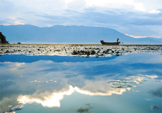 高原美景