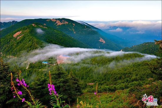 雾灵山 陶醉在盛夏17℃的清凉世界