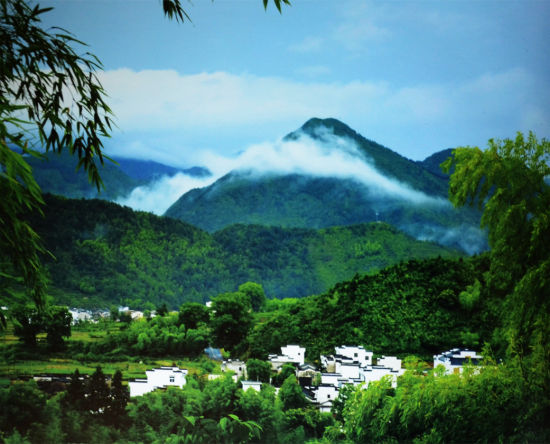 夏日婺源美景