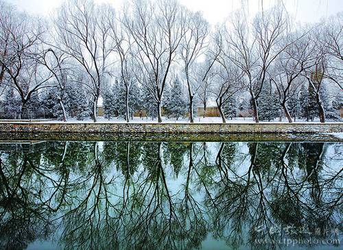 临近颐和园西堤的京密引水渠雪后的柳树与倒影(朱建辉摄)