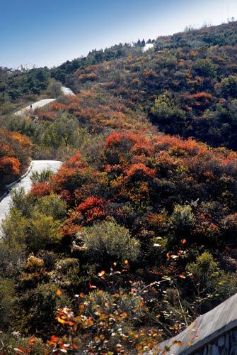 新浪旅游配图：秋景 摄影：李双喜