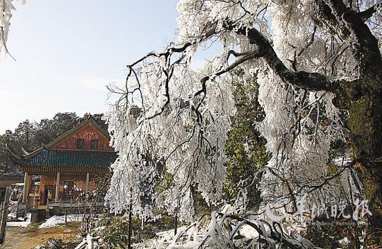 湖南衡山雪凇和雨凇 刘爱成 摄